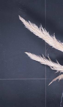 Black Atlas Brushed Beauregard