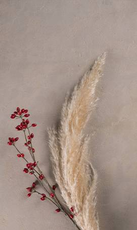 Natural stone Chablis Clos Luce