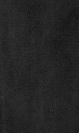 Natural stone Blackatlas Rough Chisled