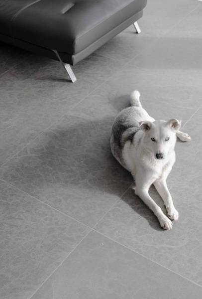 Moroccan gray natural stone with brushed, non-slip finish.