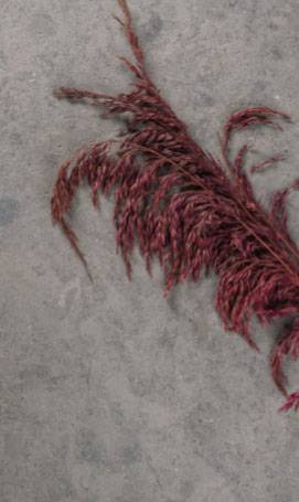 Natural stone Zola Grey Gizeux