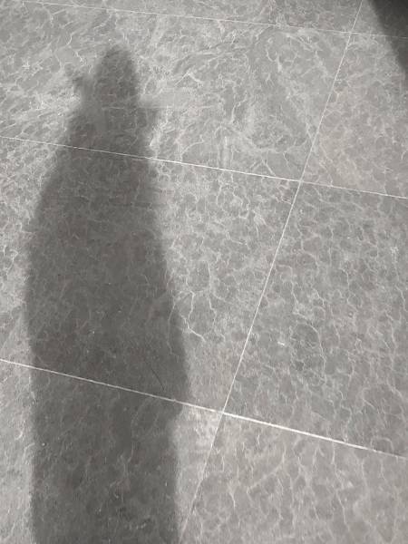 Did you think of using natural stone as floor cladding for your interior ? Natural limestone is highly resistant and pretty as interior cladding, at best value in Orlando, Florida