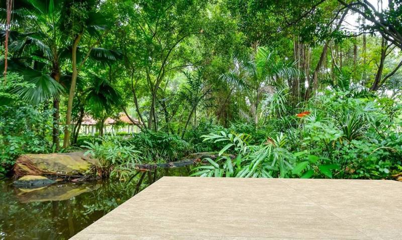 Architecture trends 2024 : Beautiful tropical terrace with high quality affordable flooring. Order in Miami and Orlando, Florida
