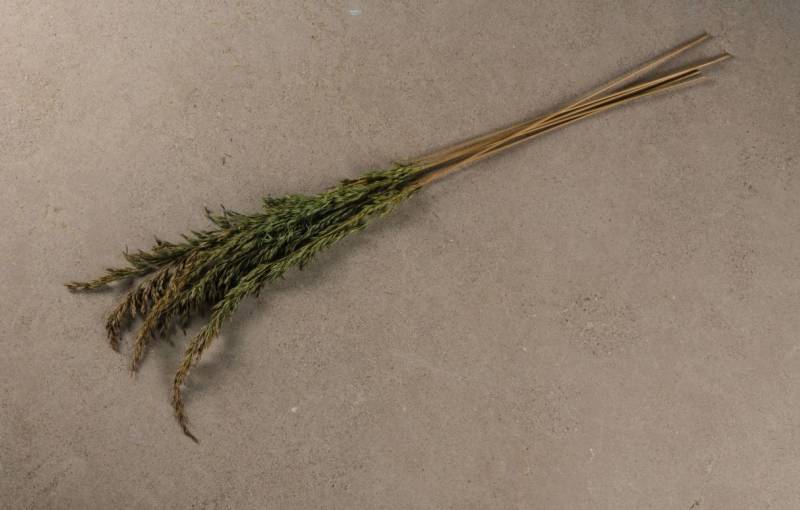 Wonder where to buy high quality coating materials at affordable price ? Check out this stone in Houston, Texas