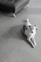 Our services in the sector of Bristol